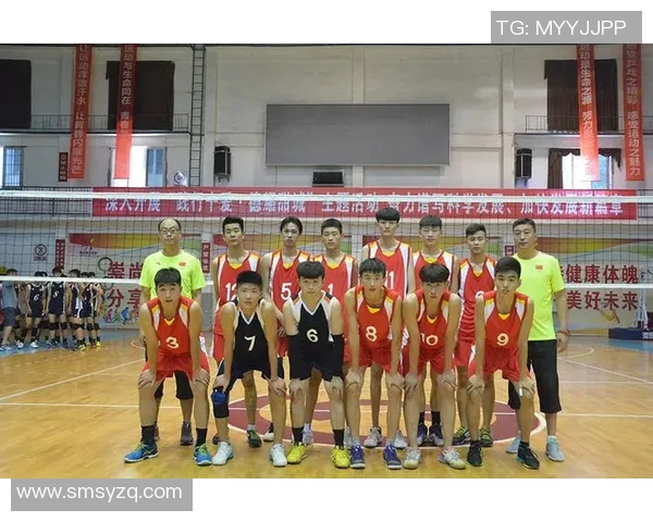 排球力量排行榜：南京排球队位居第2名